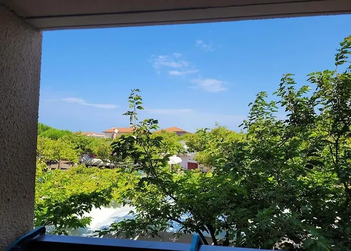 - A 300m Superbe Appart. 4 Pers * Biscarrosse